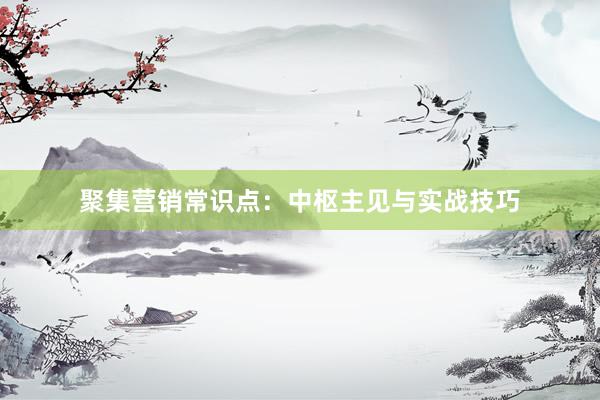 聚集营销常识点：中枢主见与实战技巧